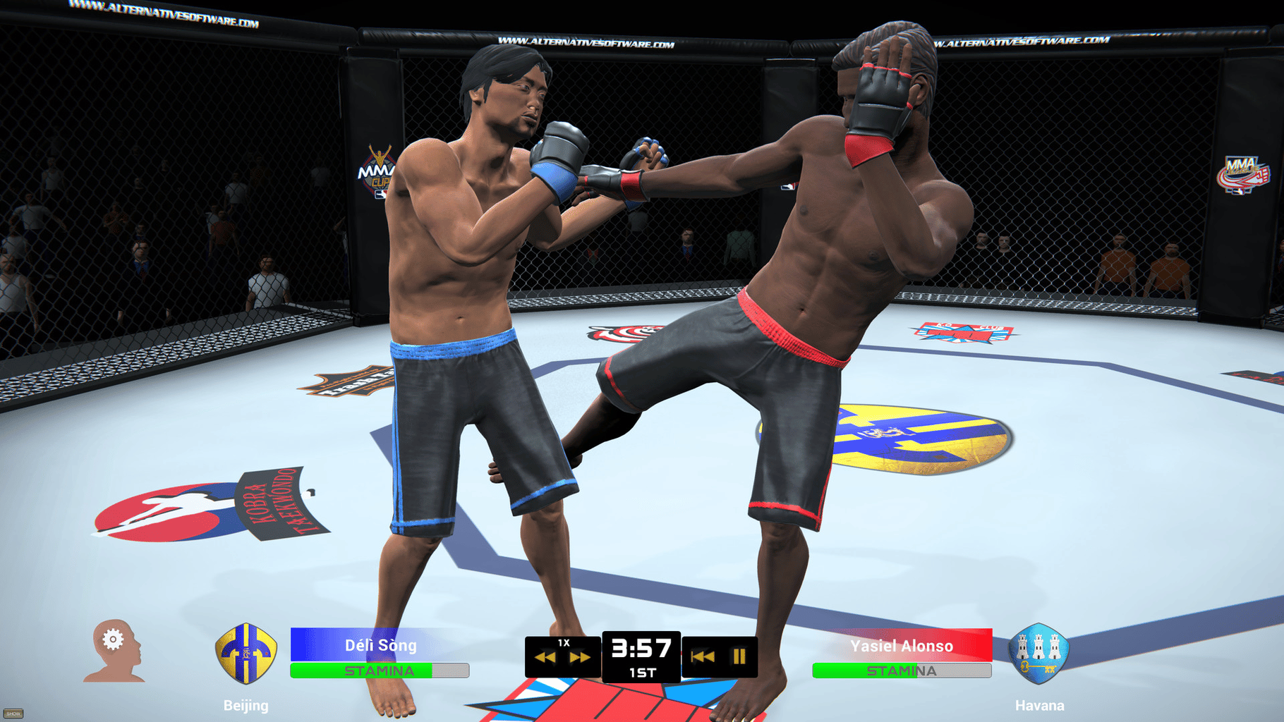 MMA Team Manager screenshot