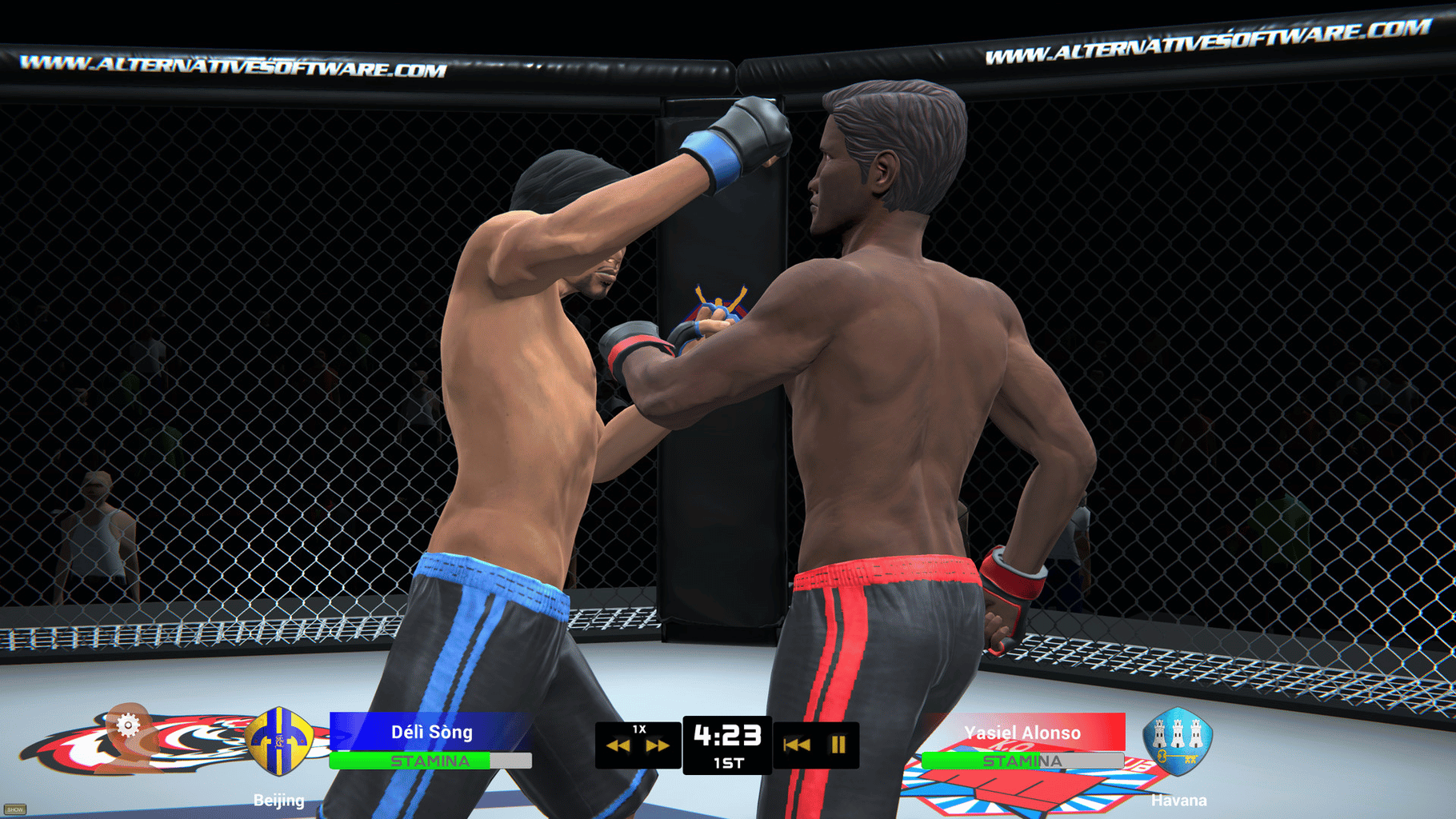 MMA Team Manager screenshot