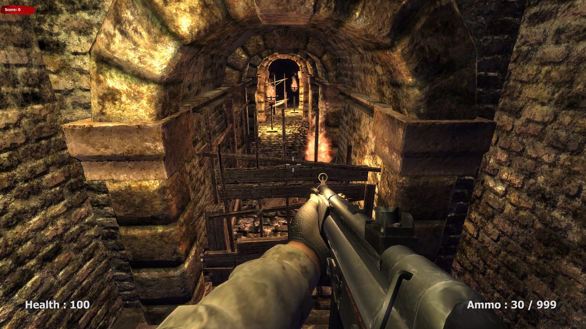 Medieval Survival - Screenshot