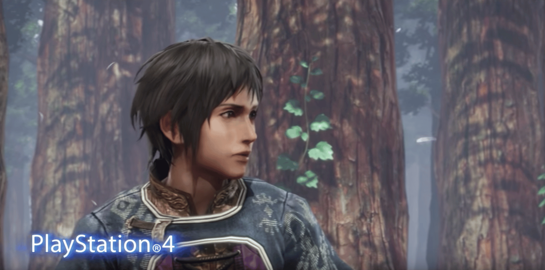 The Last Remnant Remastered screenshot