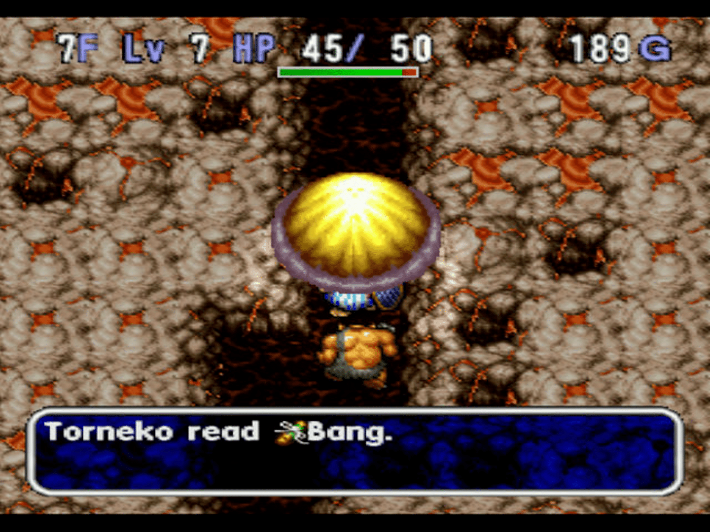 World of Dragon Warrior: Torneko - The Last Hope screenshot