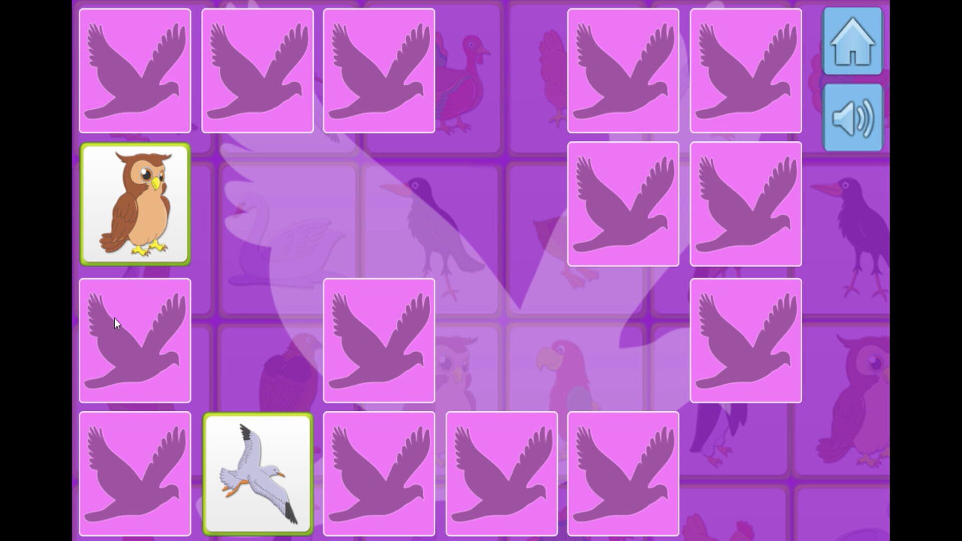 Bird Memory - Screenshot