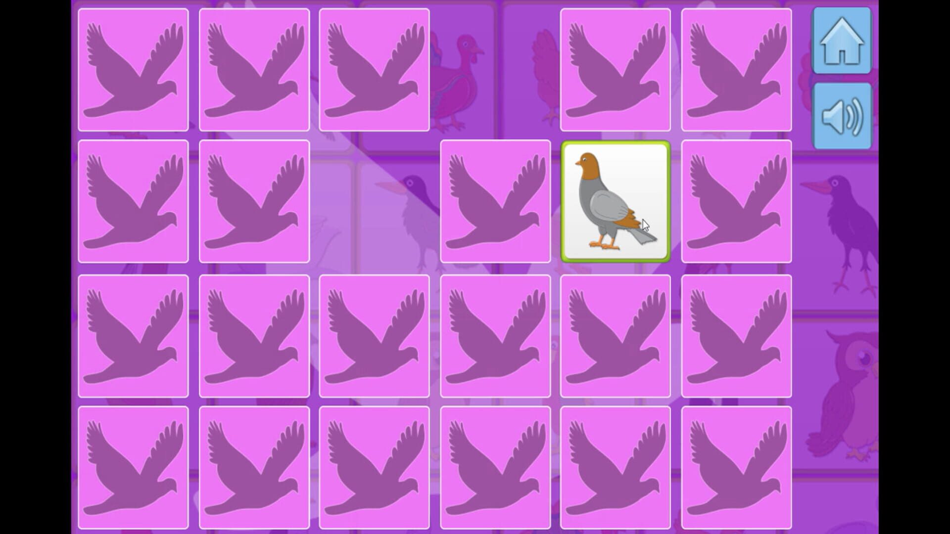 Bird Memory - Screenshot