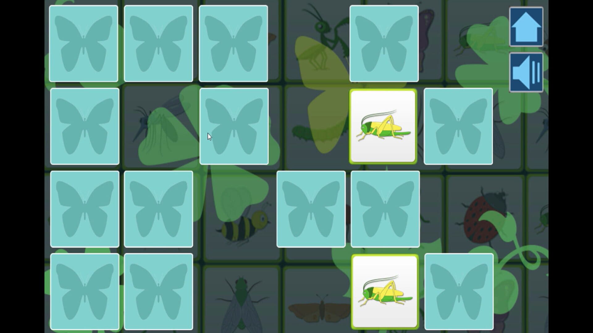 Insects - Screenshot