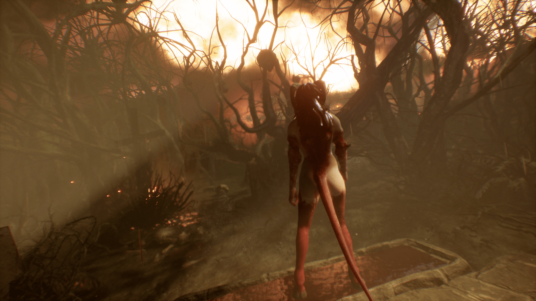 Succubus screenshot