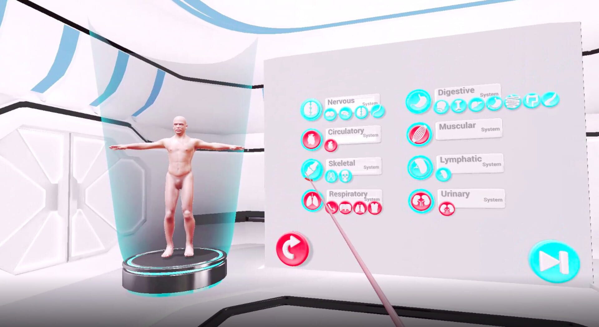 VRLab Academy: Anatomy VR - Screenshot