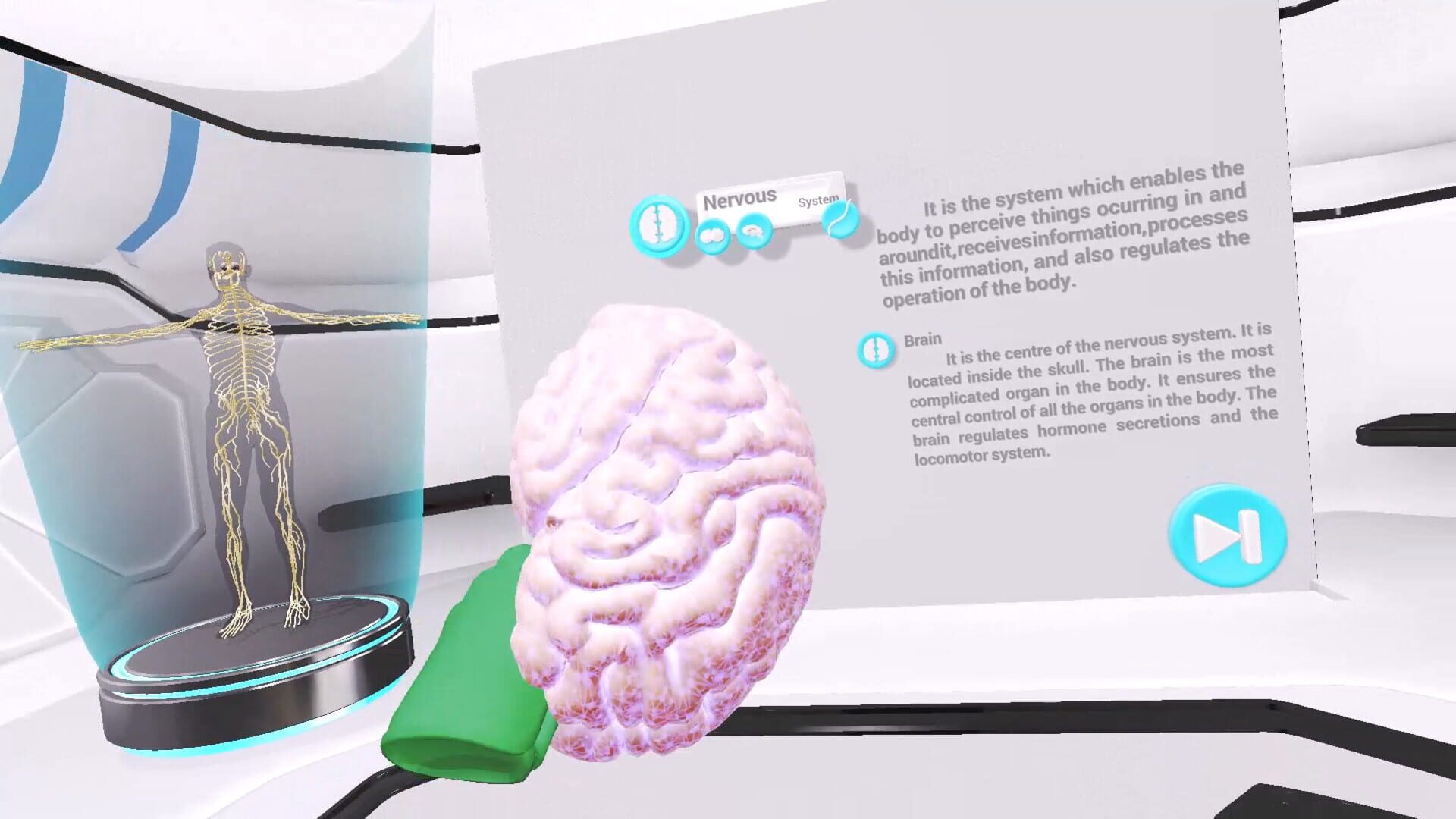 VRLab Academy: Anatomy VR - Screenshot