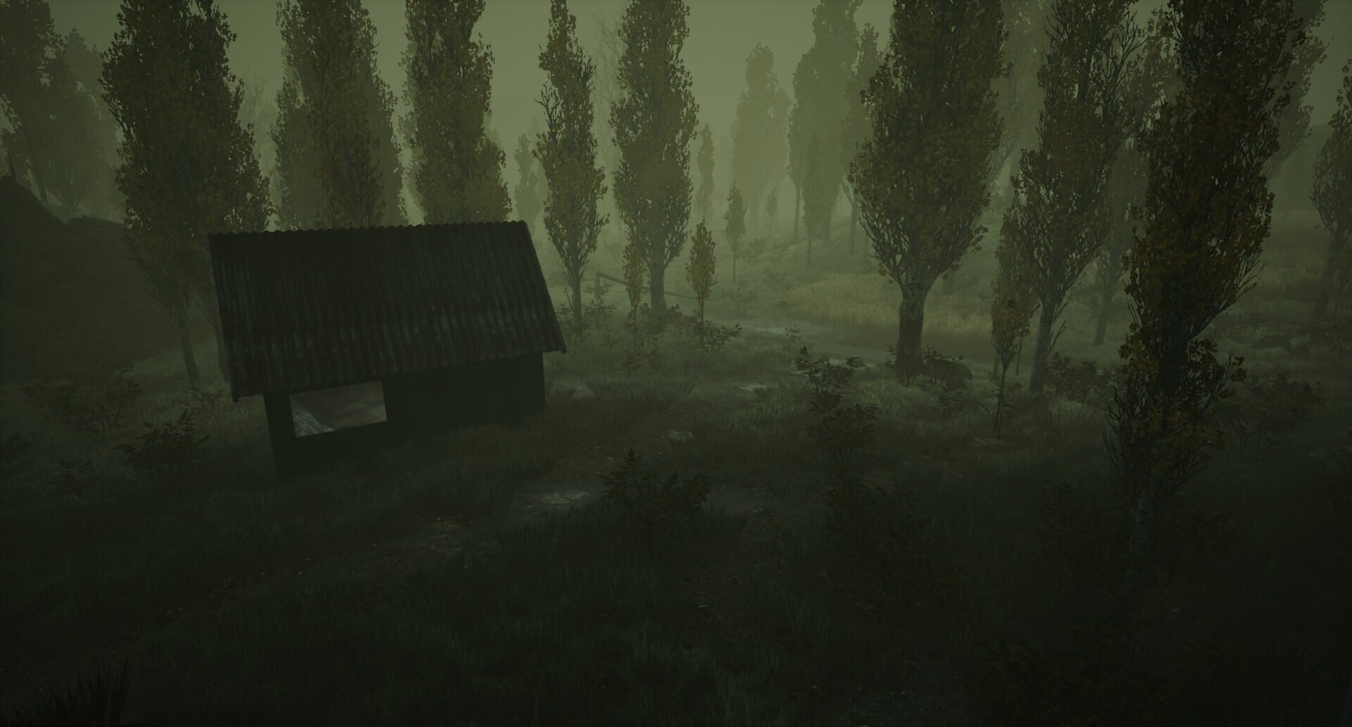 Pursuer