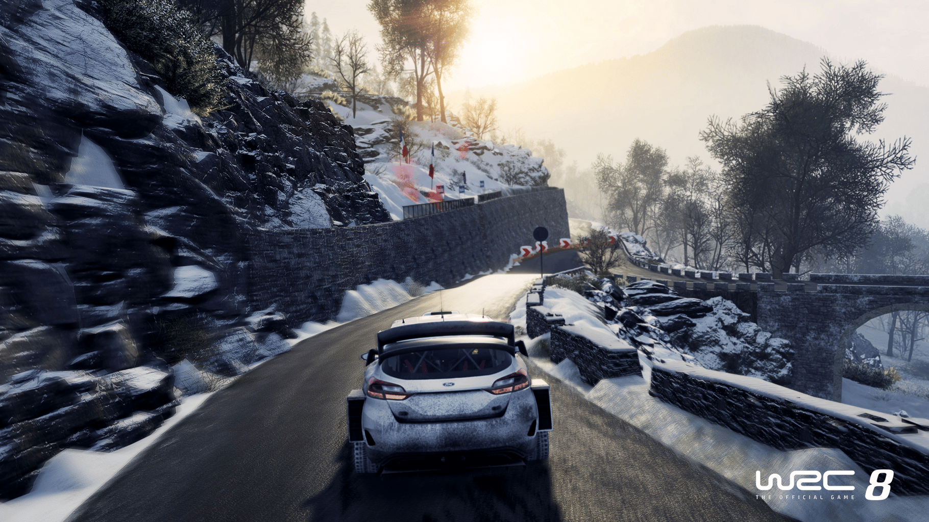 WRC 8 screenshot