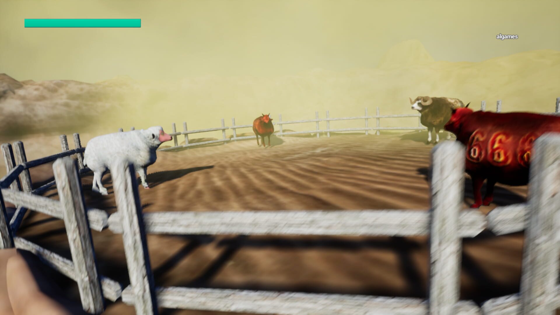 Sheep Collision
