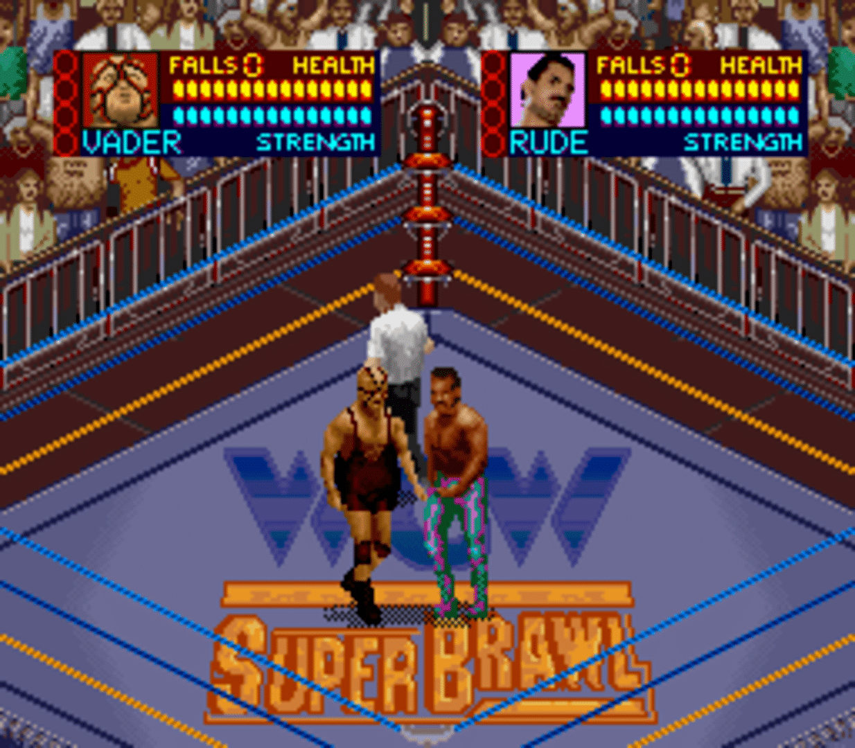 WCW SuperBrawl Wrestling screenshot