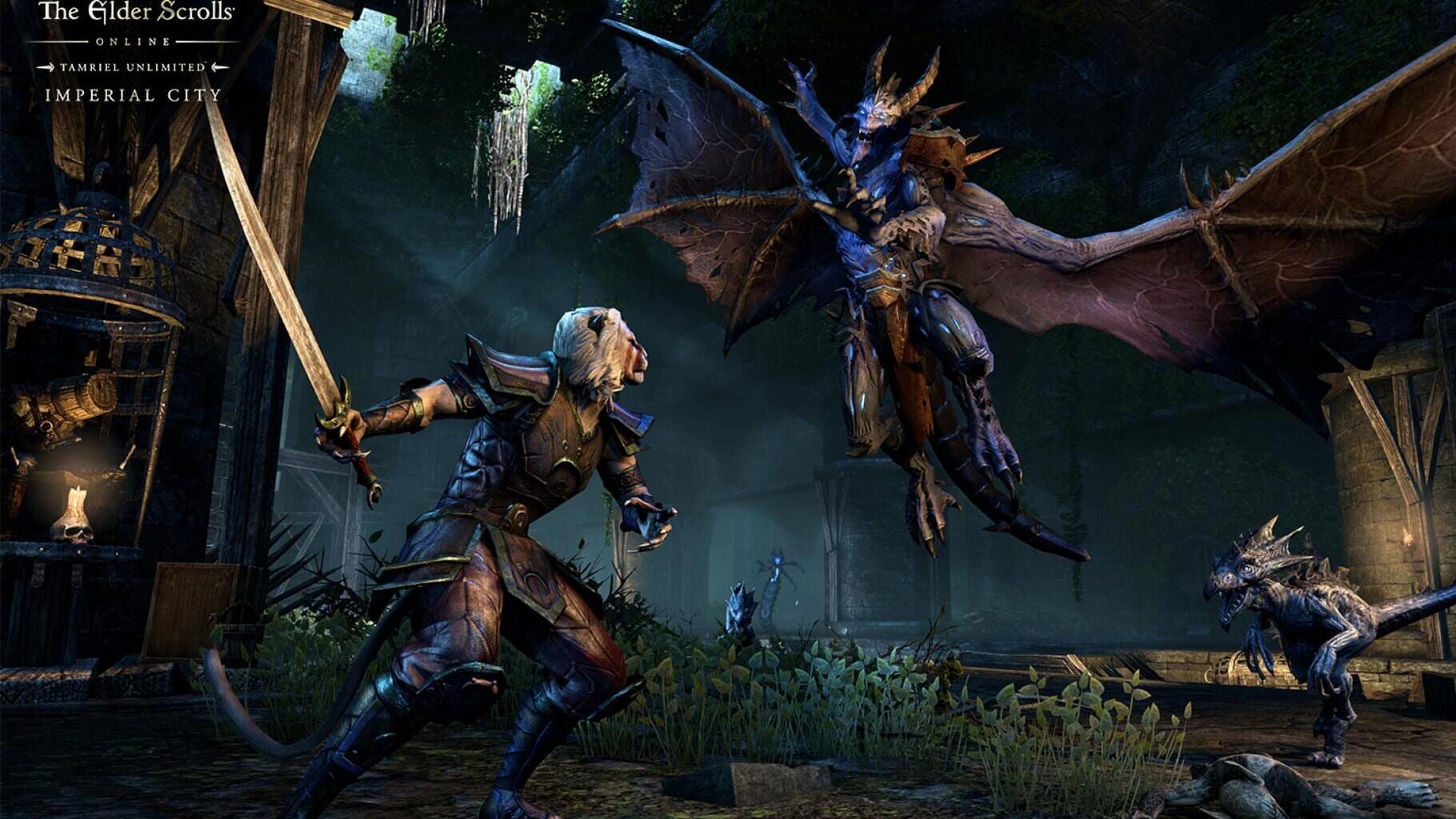 Captura de pantalla - The Elder Scrolls Online: Imperial City