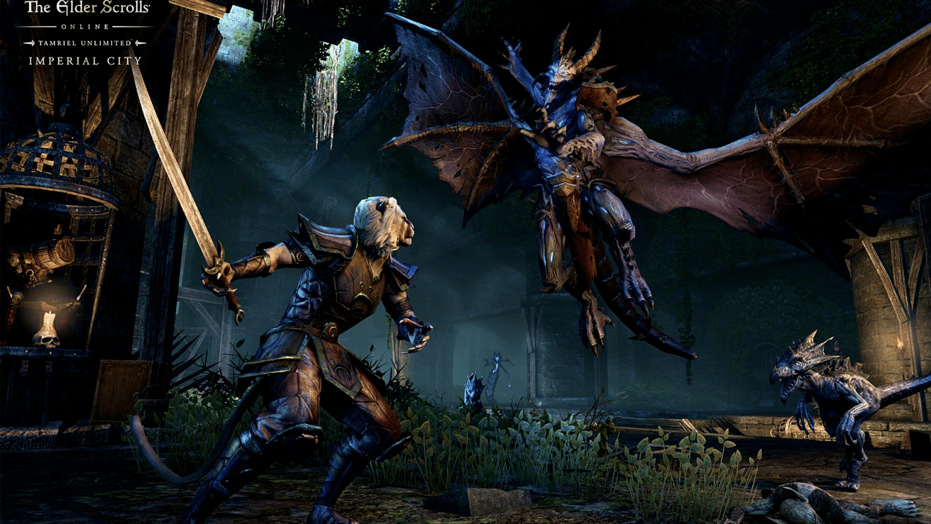 The Elder Scrolls Online: Imperial City screenshot