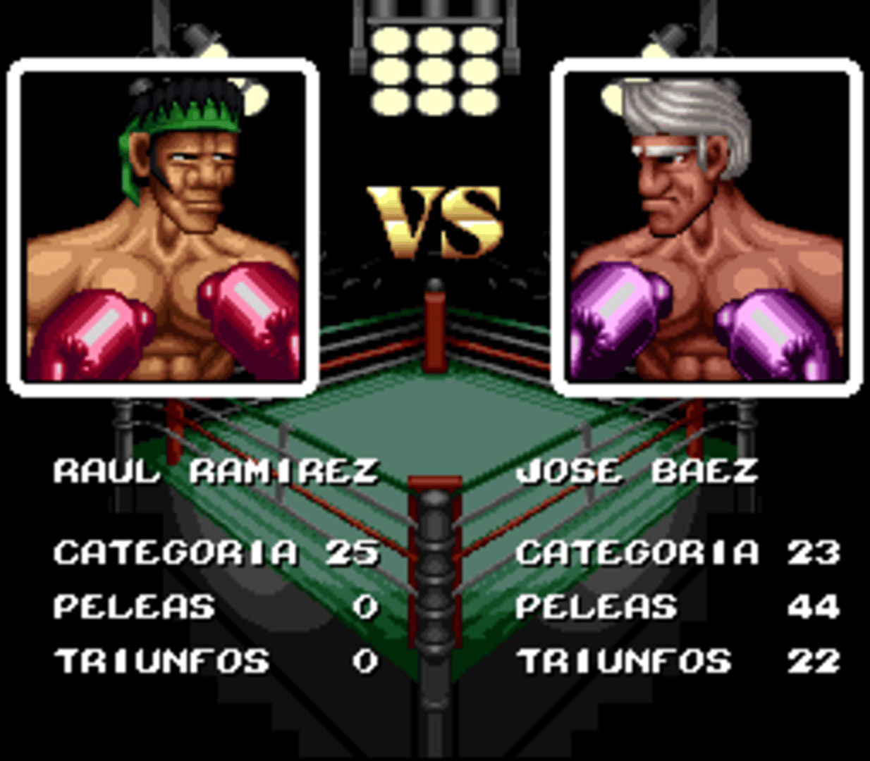 Riddick Bowe Boxing screenshot