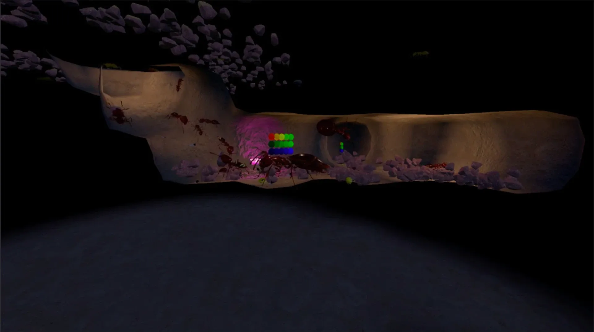 AntQueen 3D