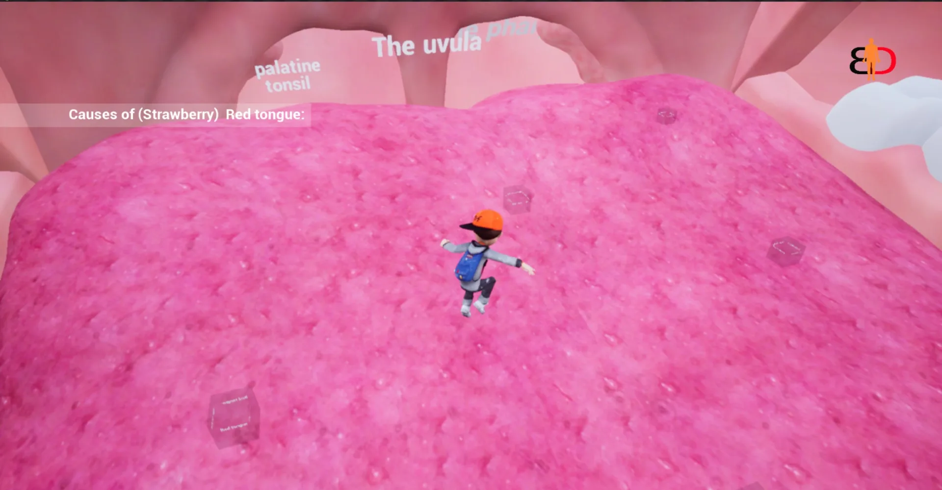 Thumbnail 6