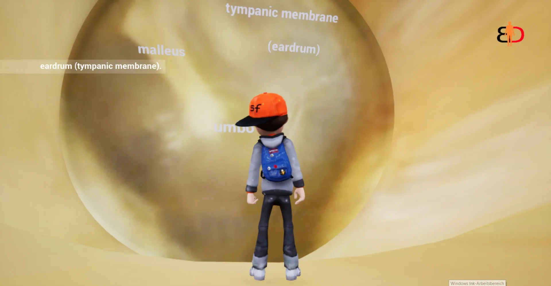 Thumbnail 8