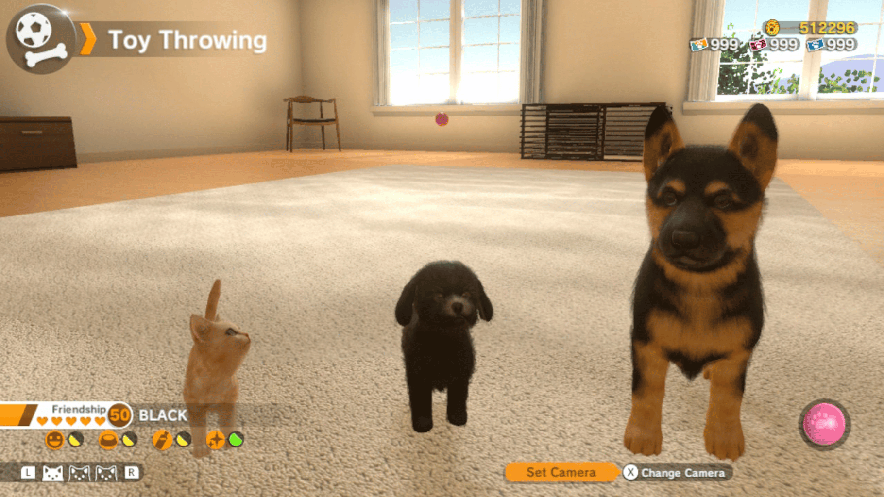 Little Friends: Dogs & Cats screenshot