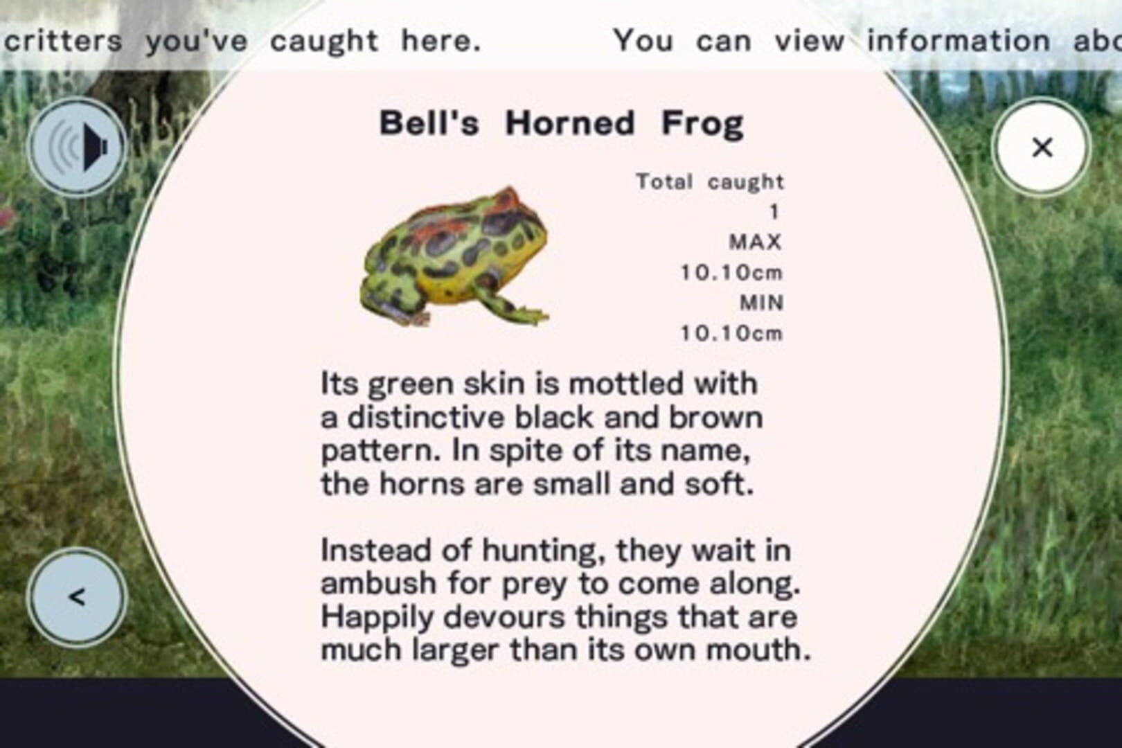 Captura de pantalla - Frog Minutes