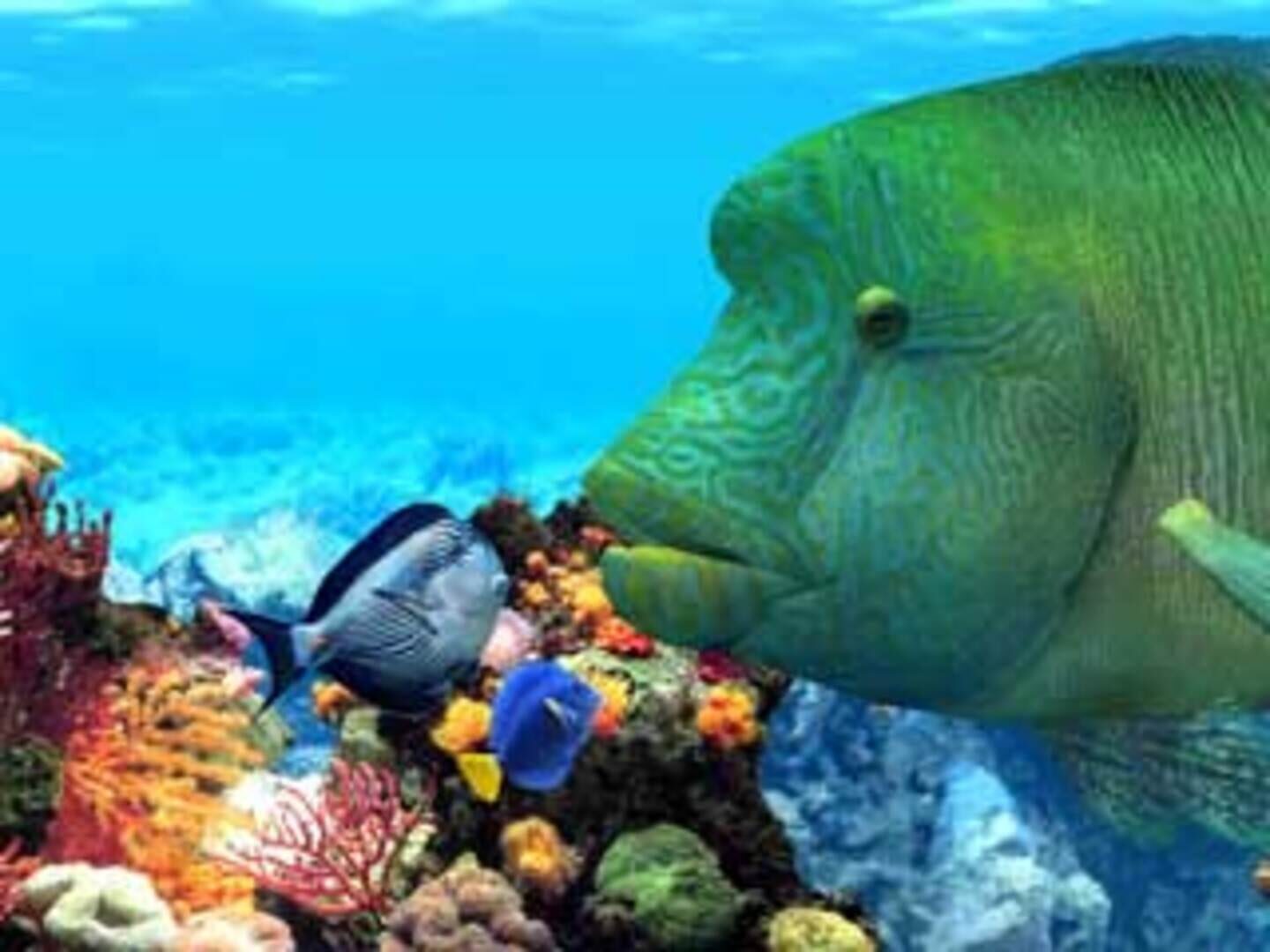 Captura de pantalla - Fish Life