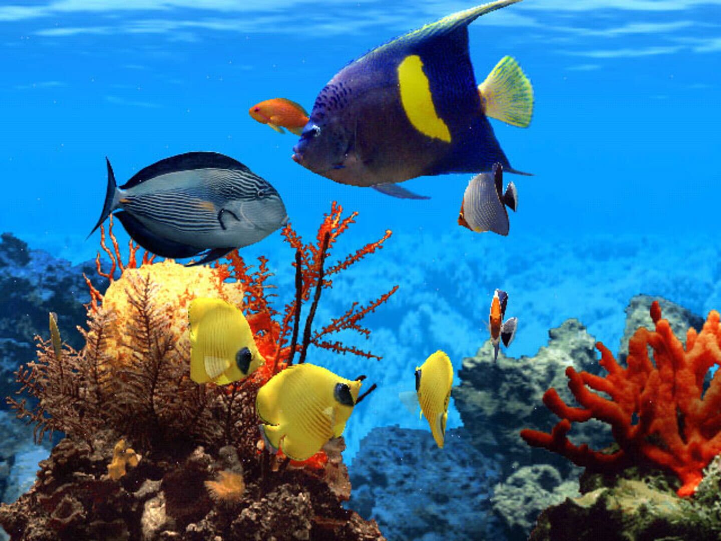 Captura de pantalla - Fish Life