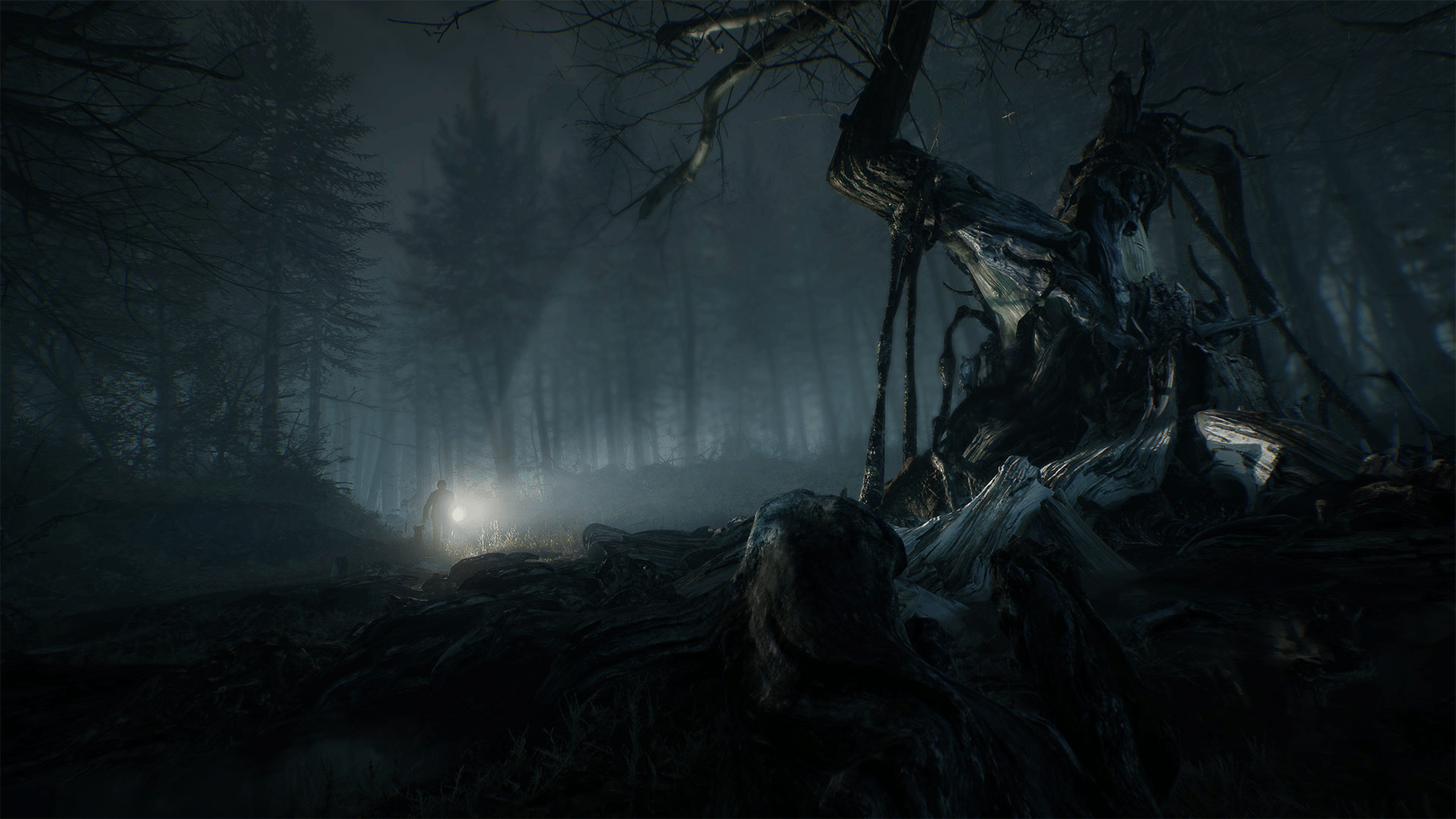 Blair Witch screenshot