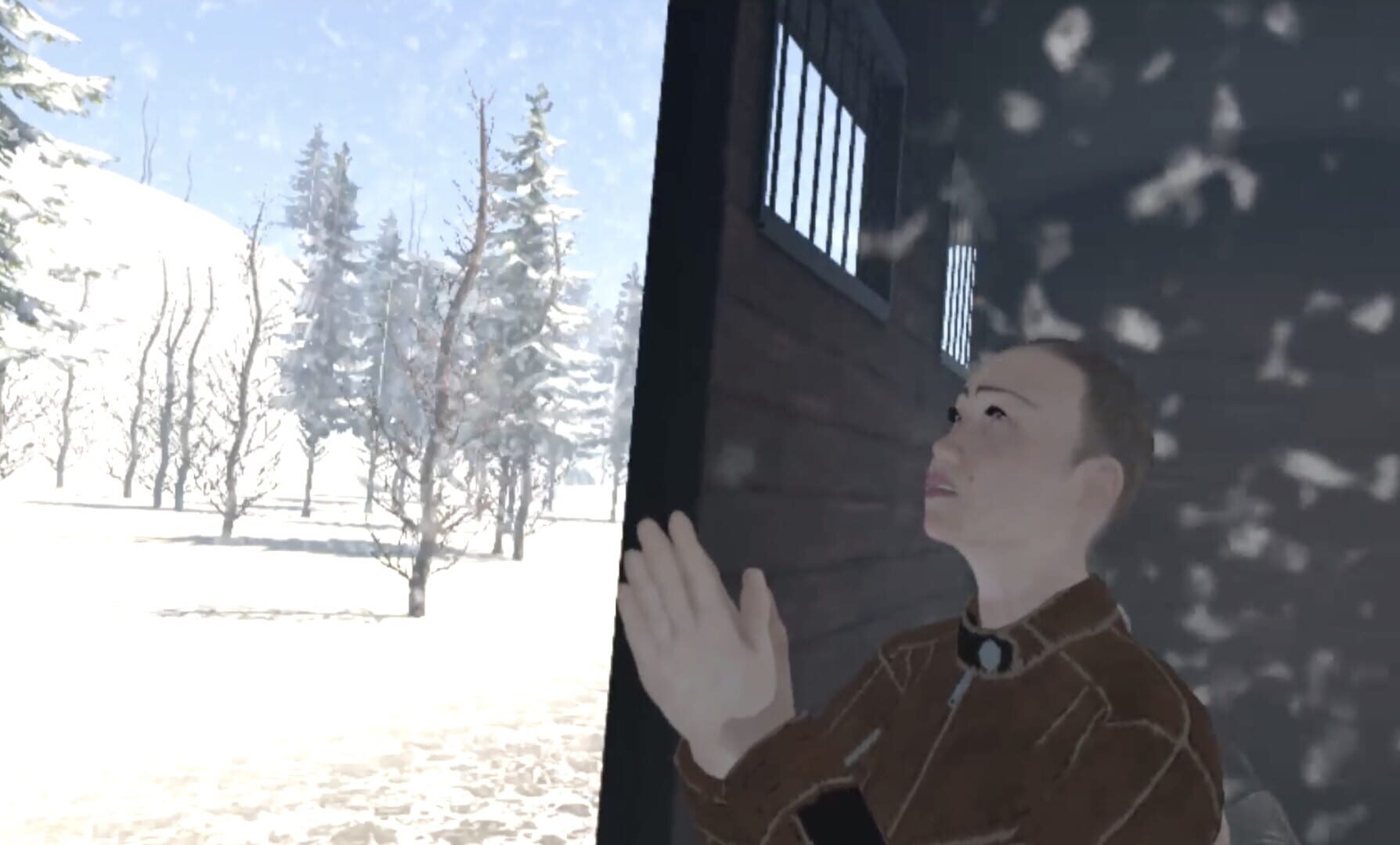 Siberian Run VR - Screenshot