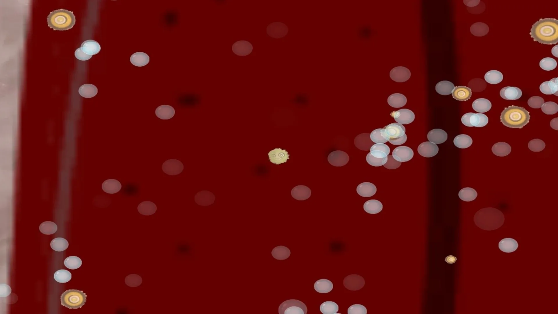 Thumbnail 10