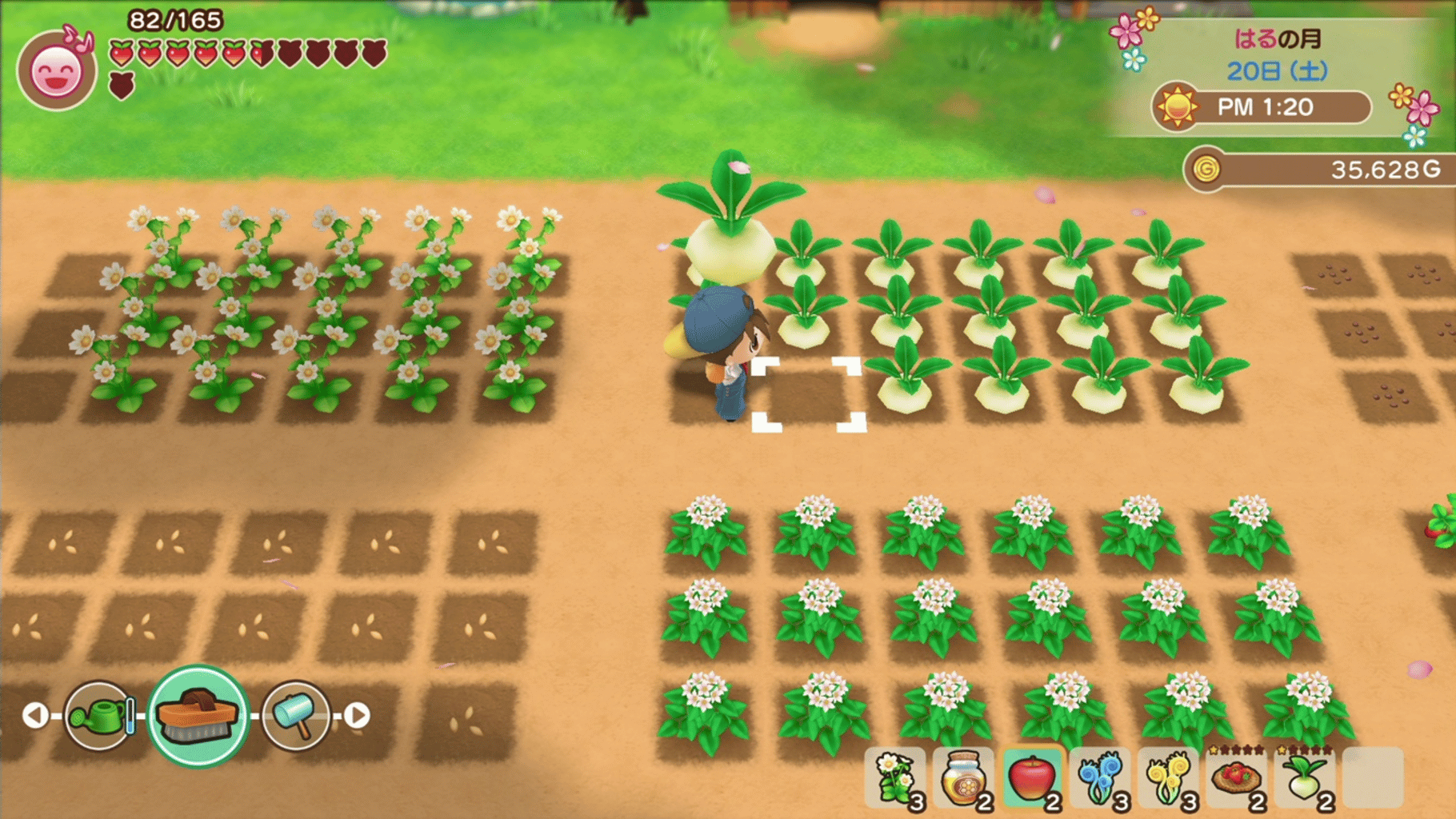 Story of Seasons: Friends of Mineral Town screenshot