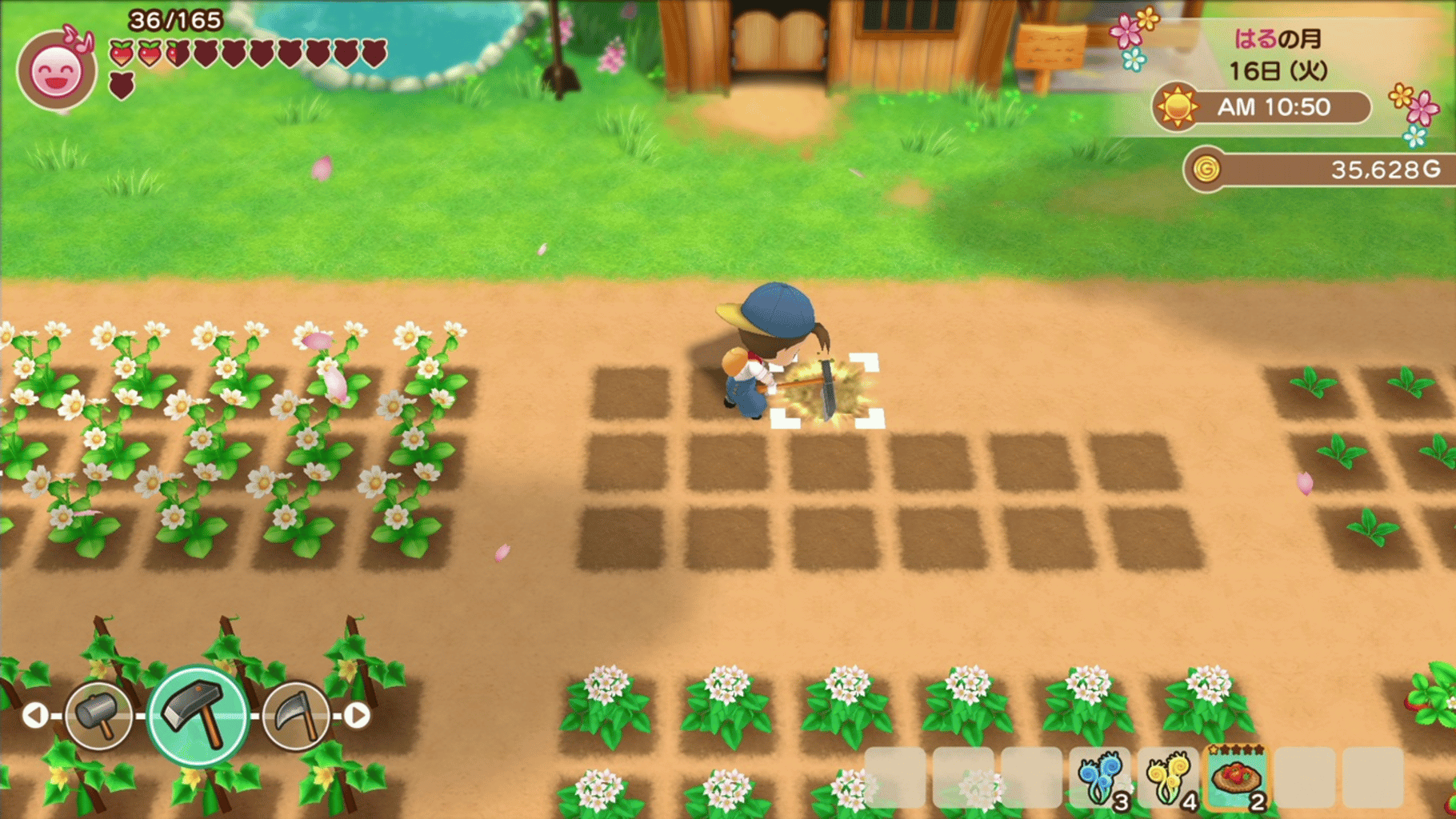 Story of Seasons: Friends of Mineral Town screenshot