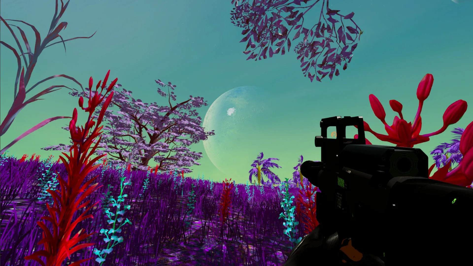 Thumbnail 12