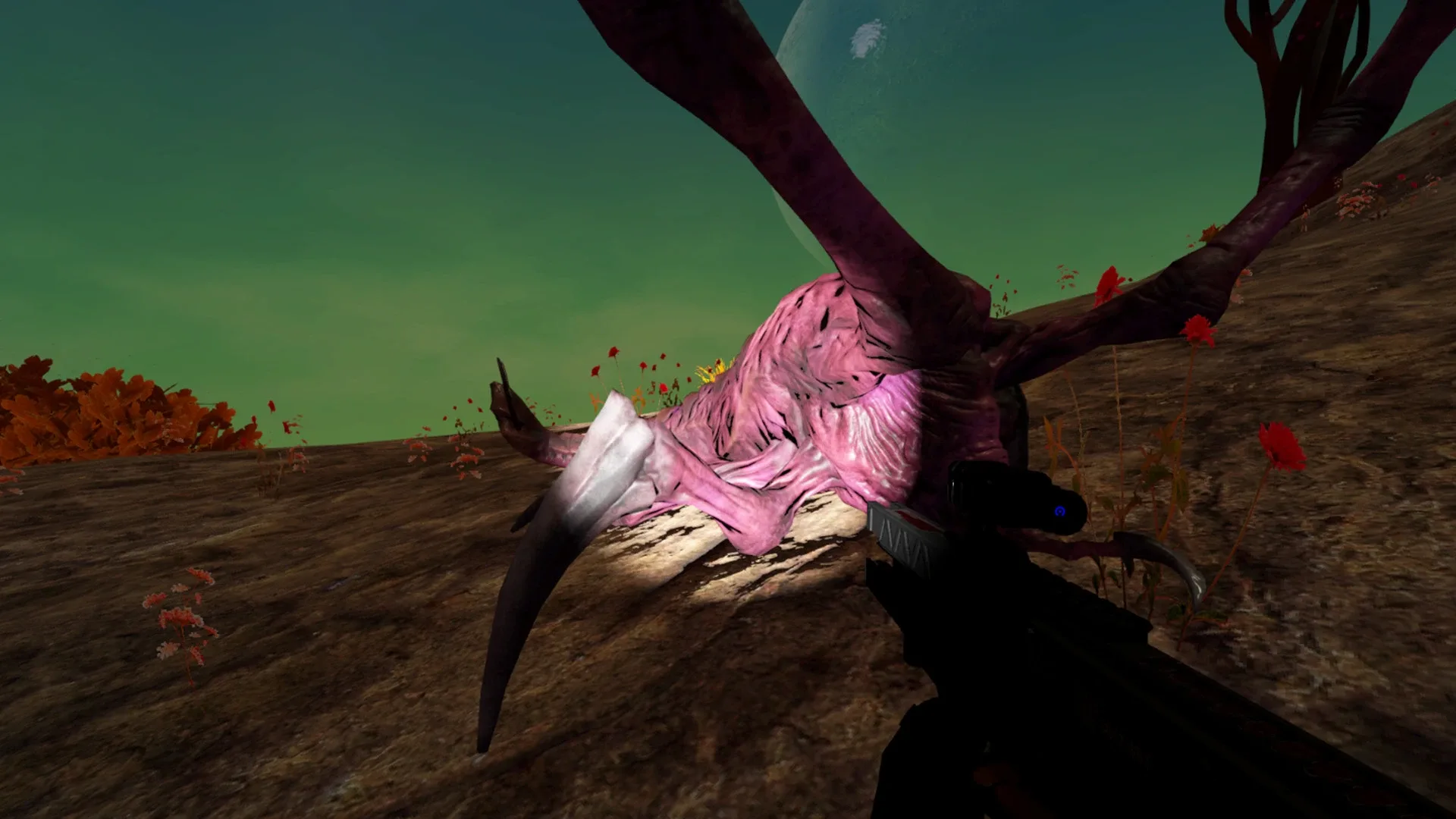 Thumbnail 5