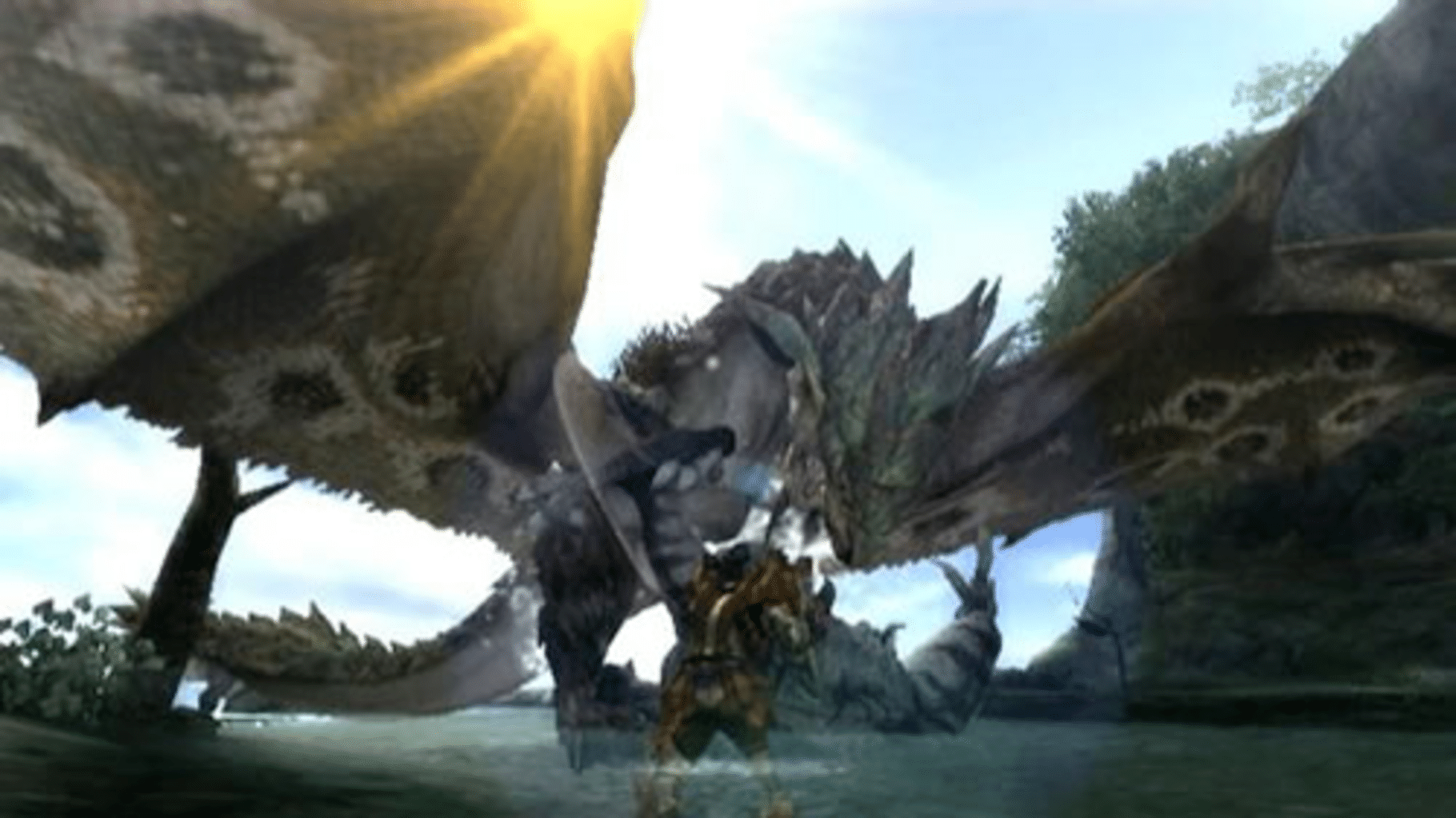 Monster Hunter Tri: Special Pack screenshot