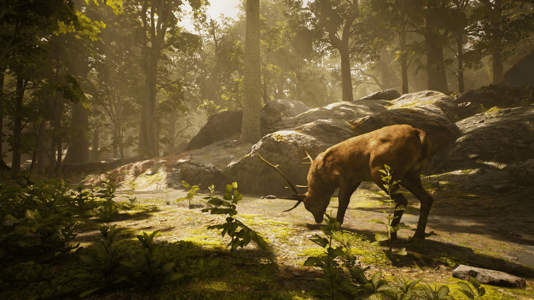 Trapper Simulator screenshot