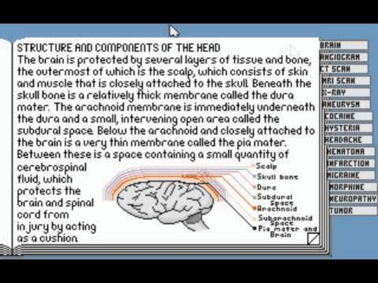 Life & Death II: The Brain screenshot