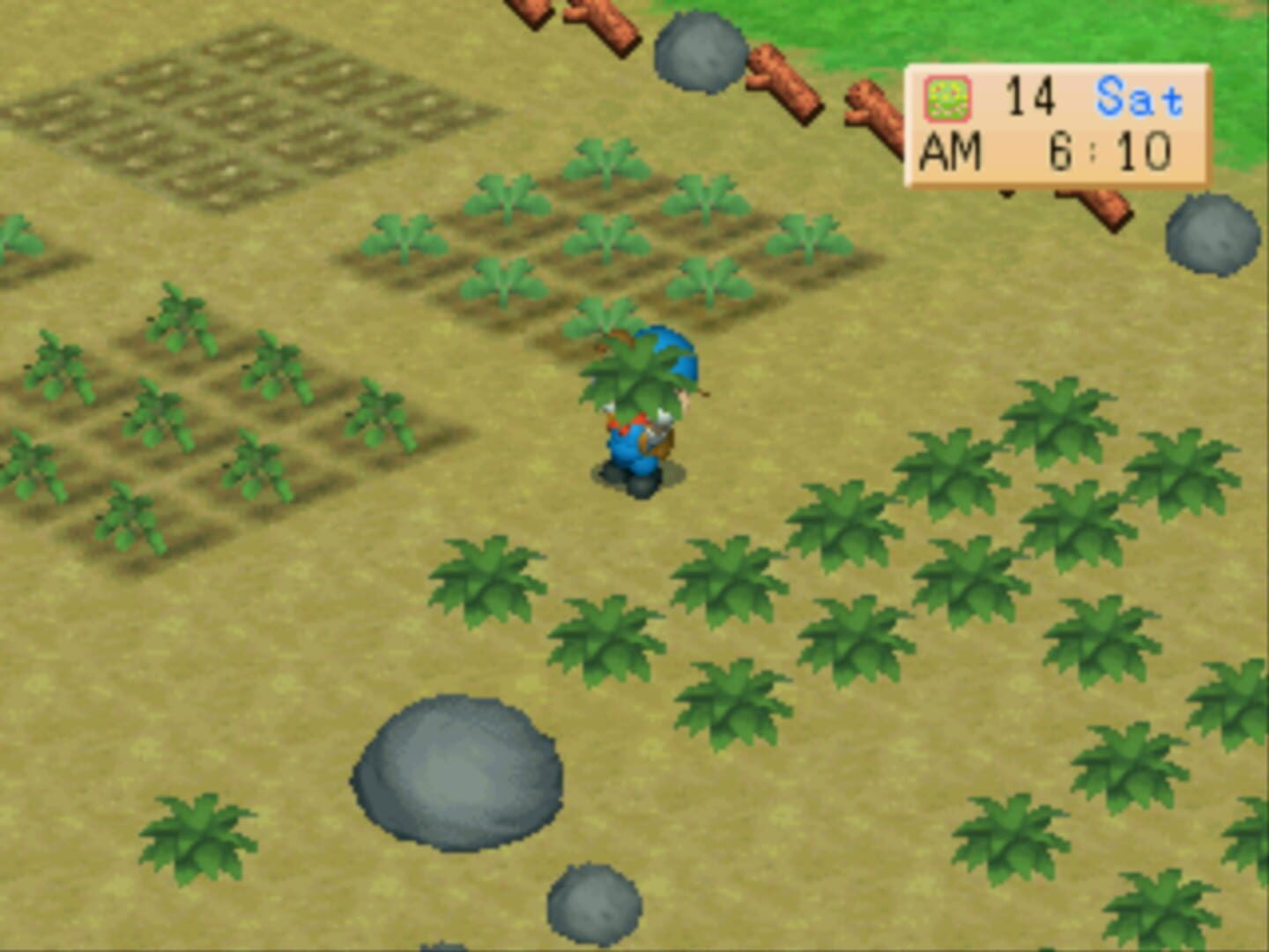 Captura de pantalla - Harvest Moon: Back to Nature