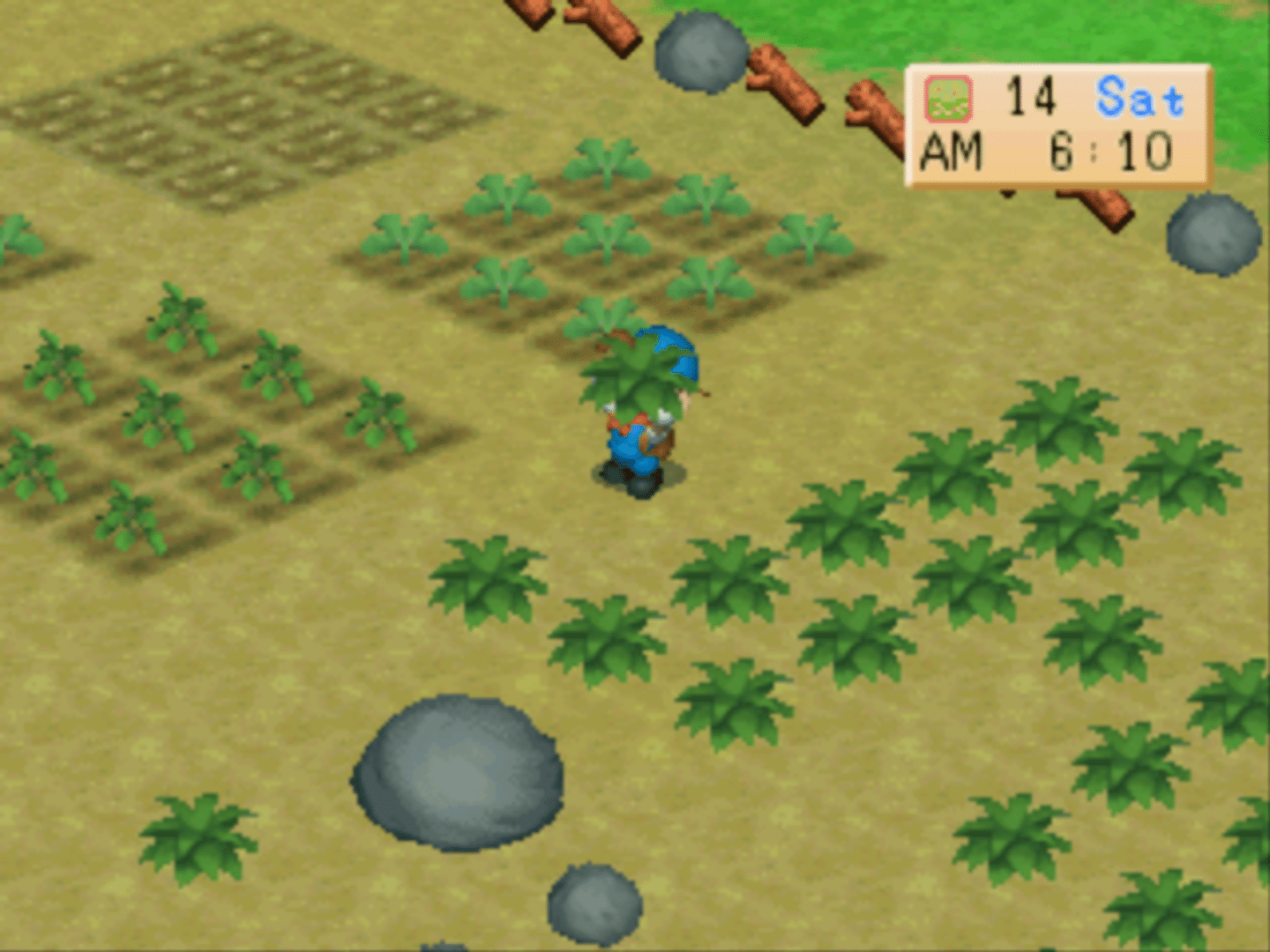 Harvest Moon: Back to Nature screenshot