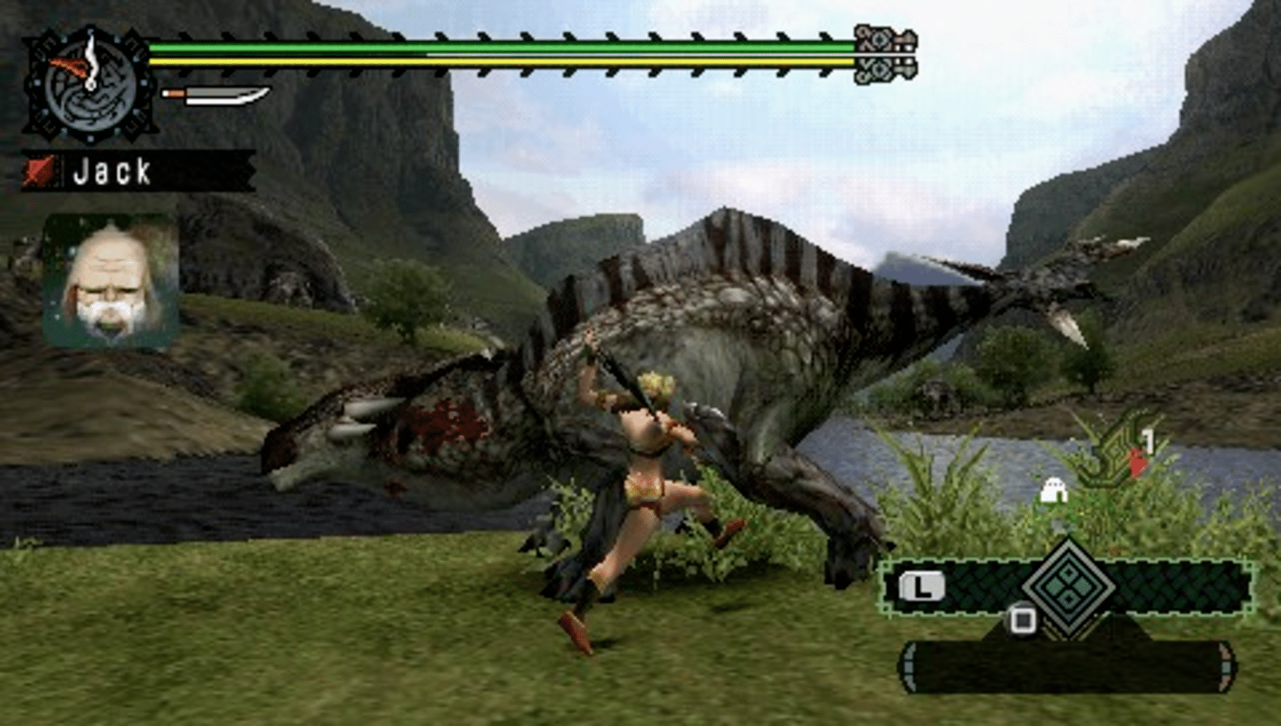 Monster Hunter Freedom screenshot