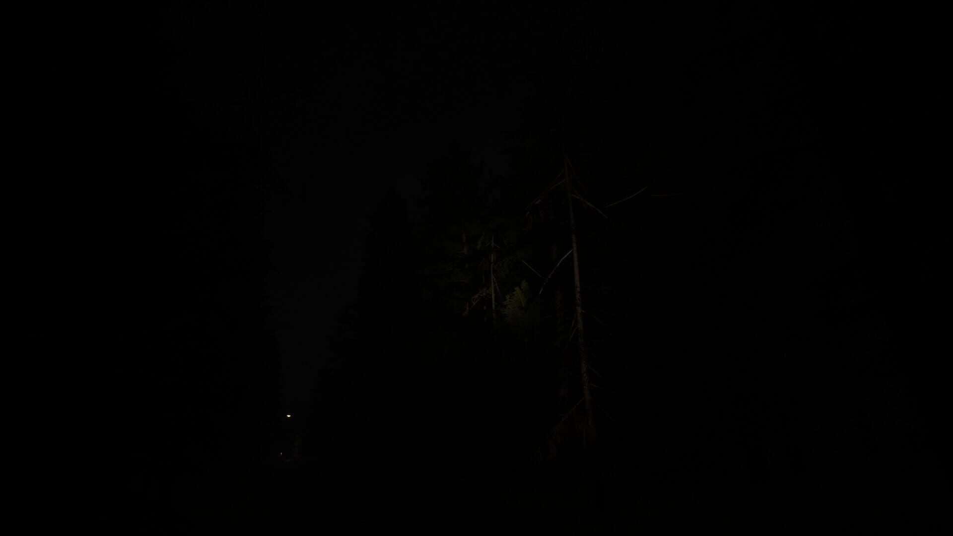 Old School Horror Game : Bright Day - Screenshot