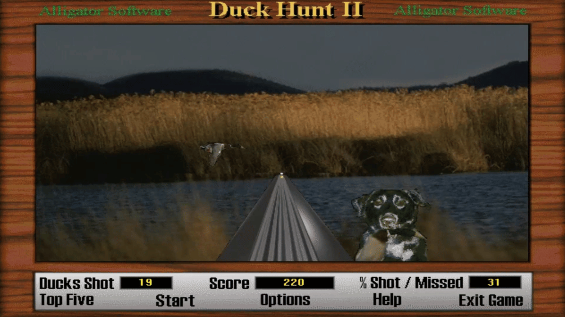 Duck Hunt 2 screenshot