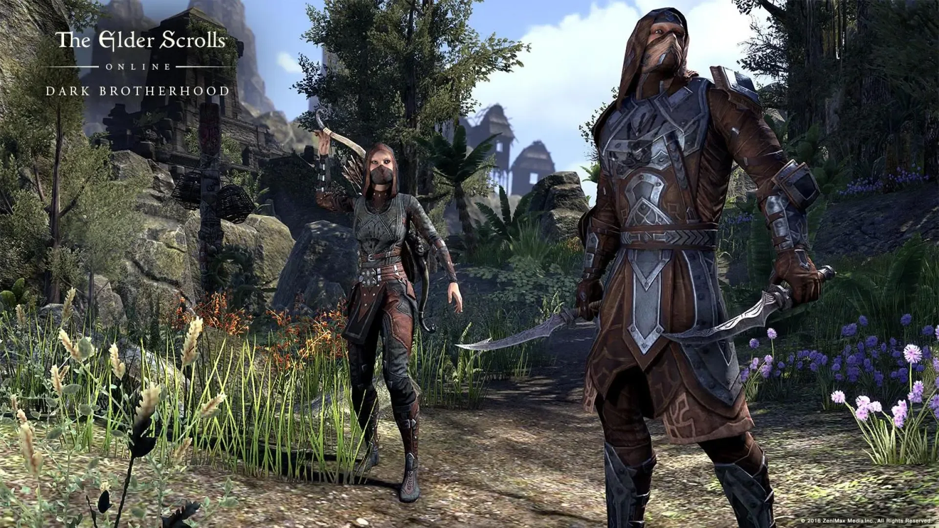 Captura de pantalla - The Elder Scrolls Online: Dark Brotherhood