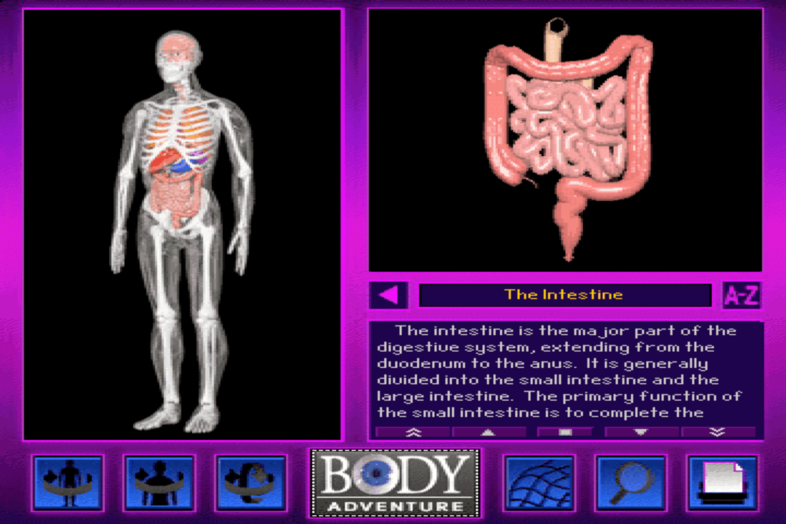 3D Body Adventure screenshot