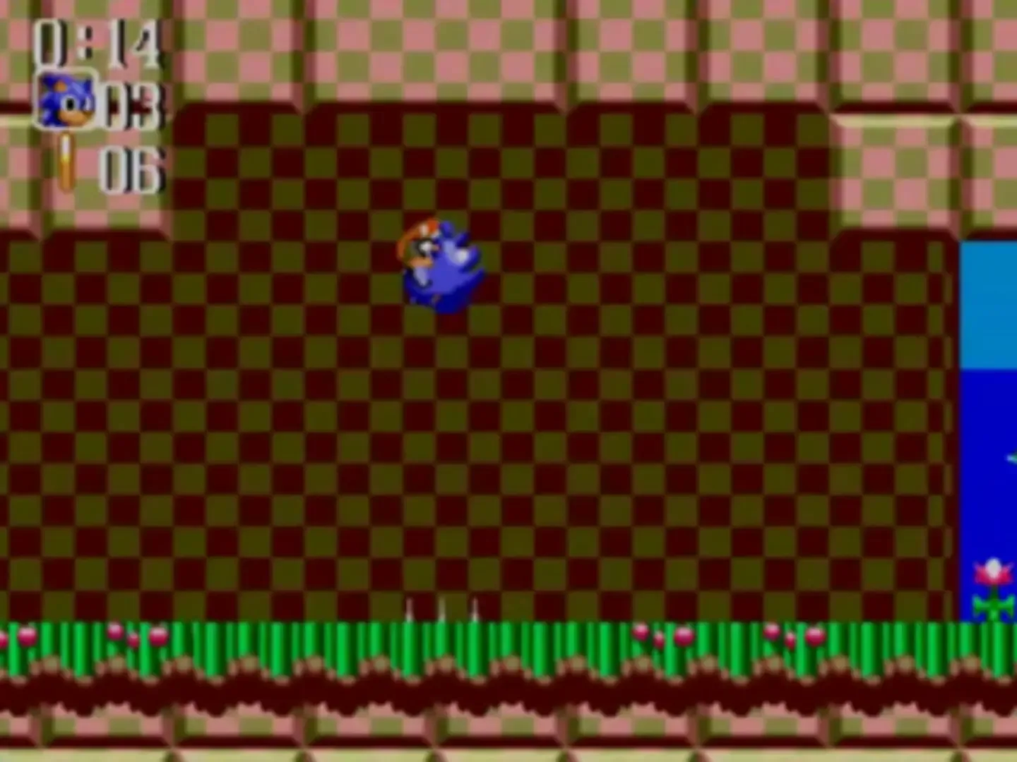 Captura de pantalla - Sonic the Hedgehog Chaos
