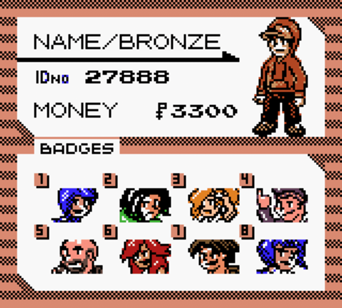 Pokémon Bronze screenshot