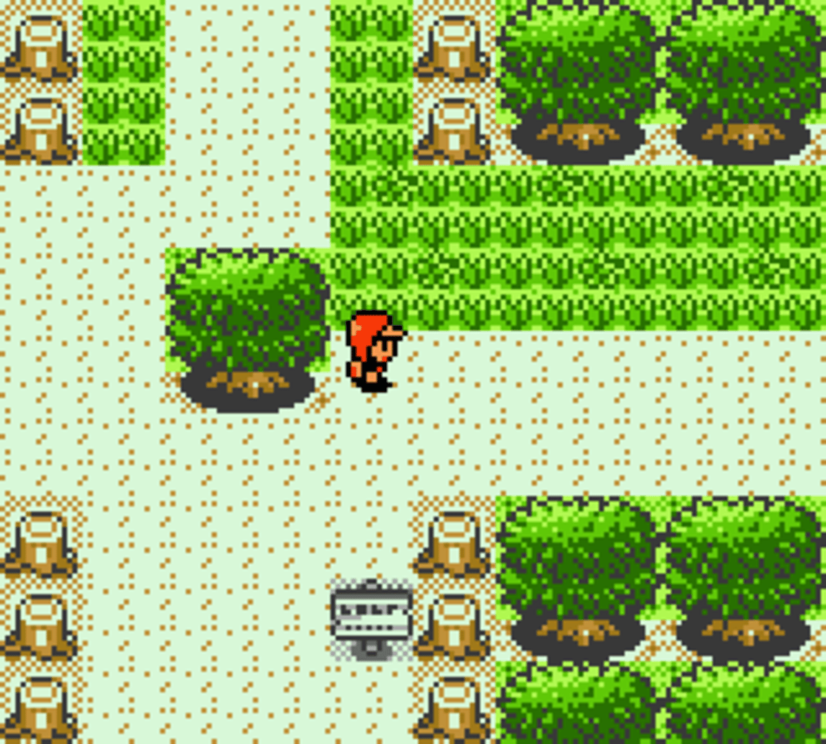 Pokémon Bronze screenshot