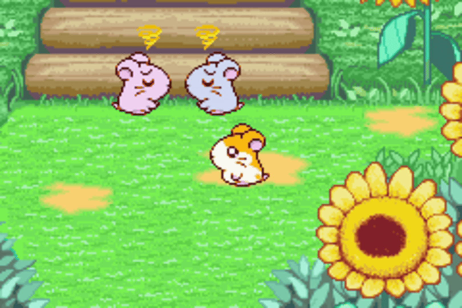 Hamtaro: Ham-Ham Heartbreak screenshot