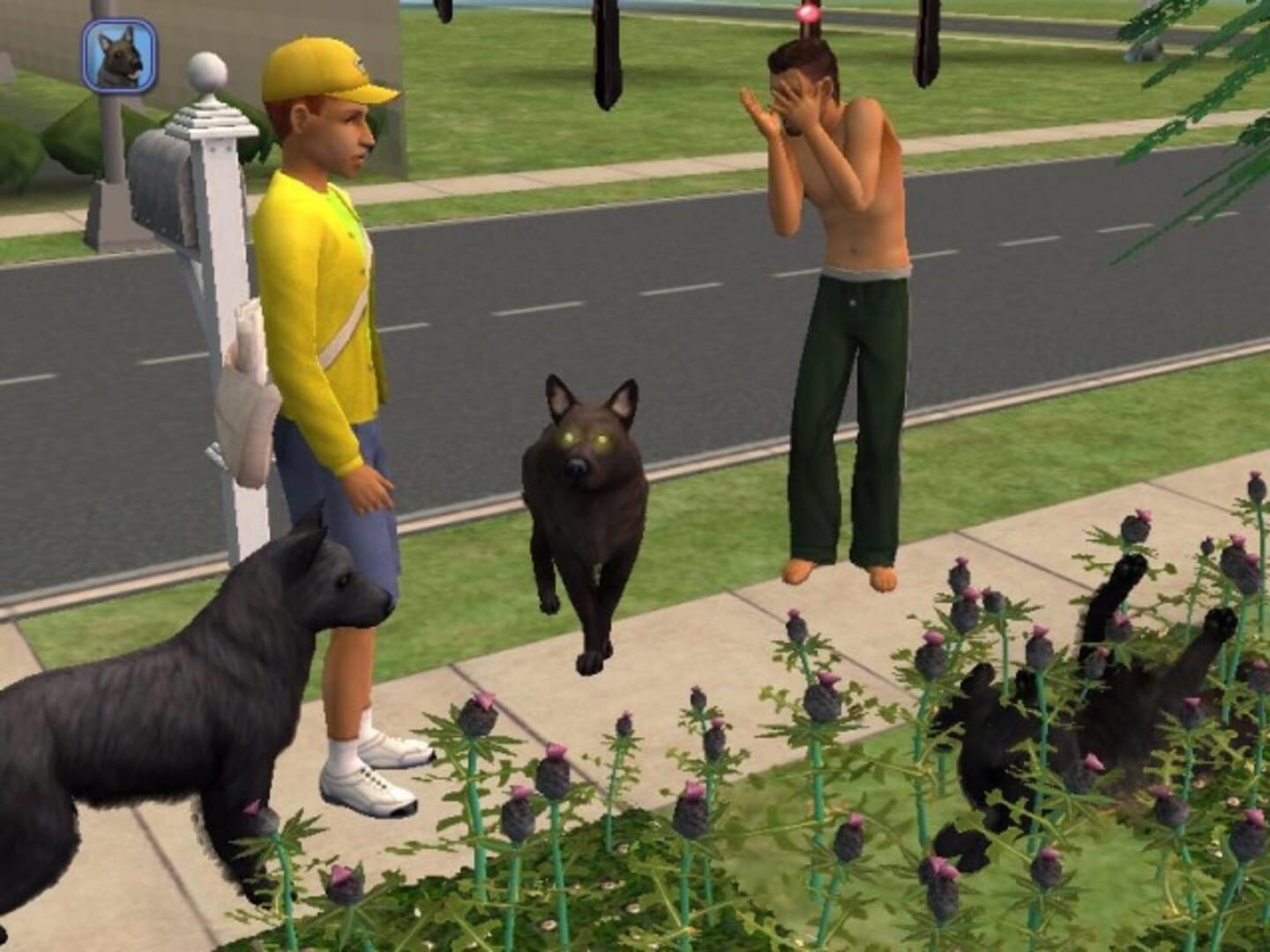 Captura de pantalla - The Sims 2: Pets