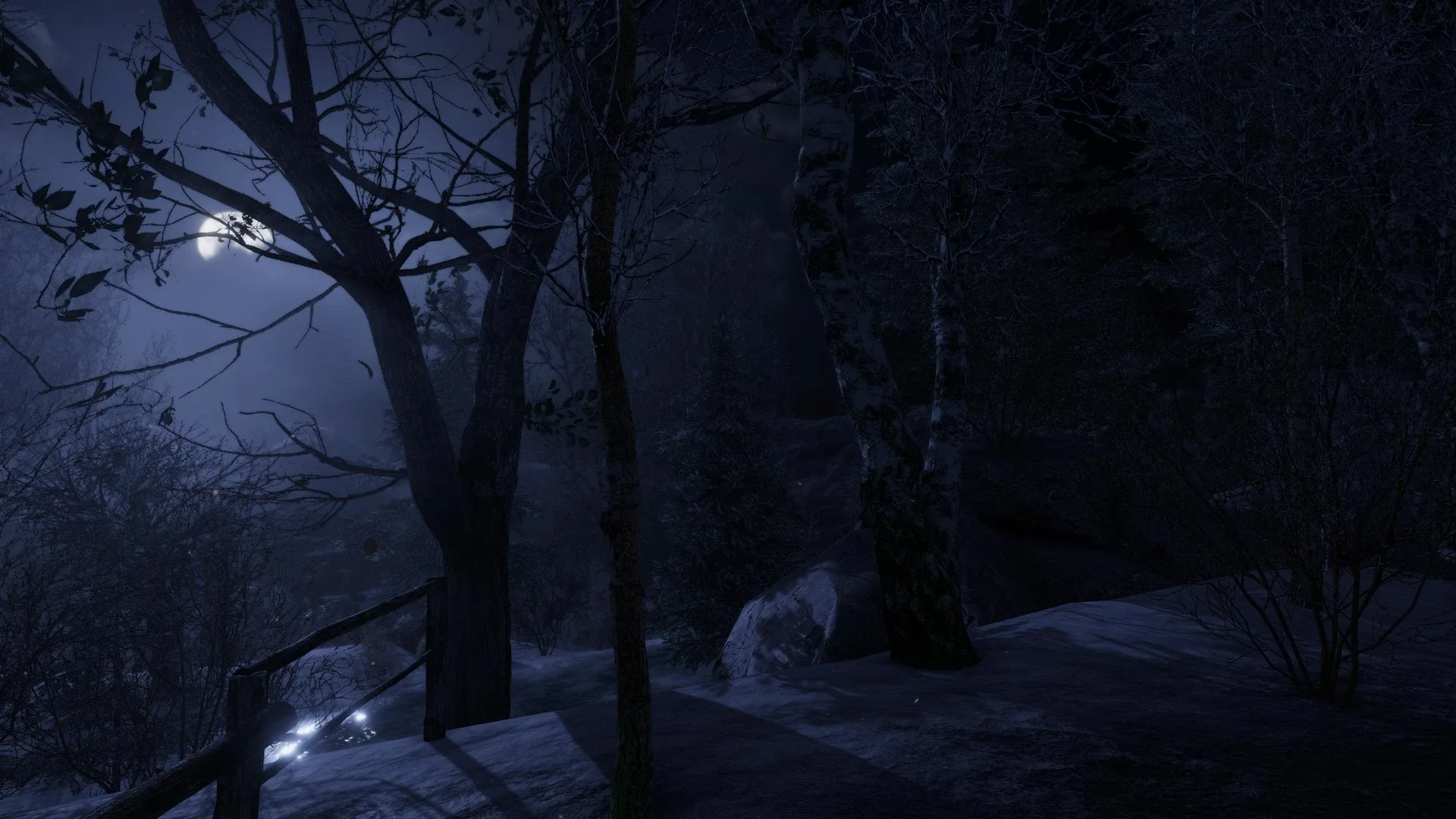 Thumbnail 12