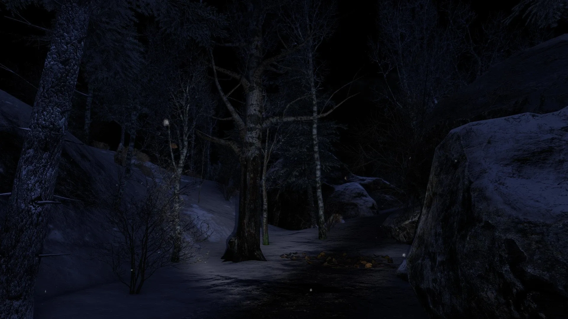 Thumbnail 11