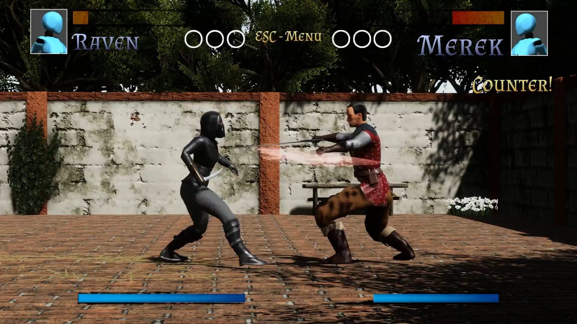 Fighters' Glory - Screenshot